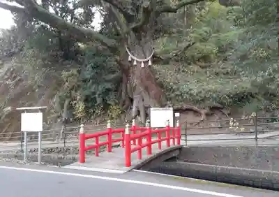 蛭児神社のその他建物