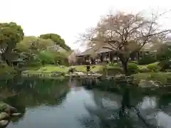 浅草寺の庭園