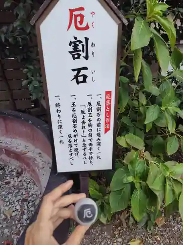 鎮守氷川神社(埼玉県)