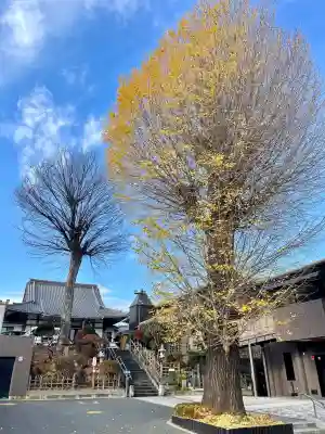 廣源院東福寺(東京都)