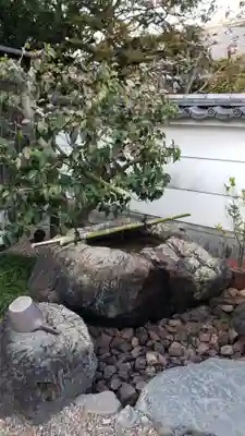 平等院の手水舎