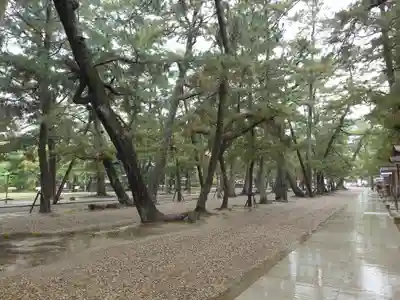 出雲大社(島根県)