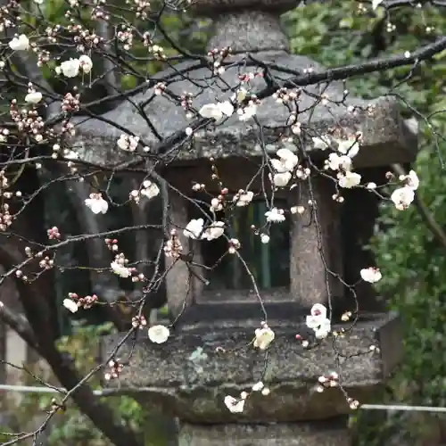 御香宮神社の自然