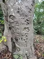 雲見浅間神社(静岡県)