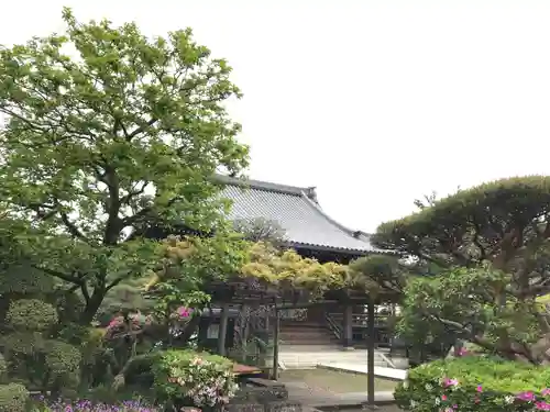 蓮光寺の本殿