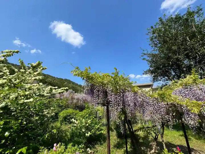 白毫寺熊野権現社(兵庫県)