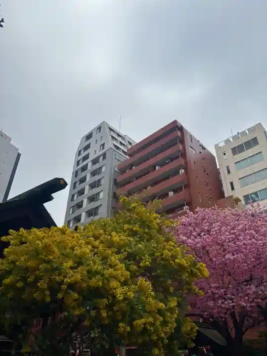 蔵前神社の{uncategorized: "未分類", other: "その他", undefined: "問題あり", building: "その他建物", grave: "お墓", sacred_gate: "鳥居", guardian: "狛犬", statue: "像", buddha: "仏像", history: "歴史", nature: "自然", garden: "庭園", animal: "動物", pagoda: "塔", temizu: "手水舎", mountain_gate: "山門・神門", sanctuary: "本殿・本堂", subordinate: "末社・摂社", art: "芸術", scenery: "景色", jizo: "地蔵", ema: "絵馬", goshuin: "御朱印", omikuji: "おみくじ", items: "授与品その他", amulet: "お守り", goshuincho: "御朱印帳", eats: "食事", festival: "お祭り", votive_dance: "神楽", shichigosan: "七五三参", wedding: "結婚式", experience: "体験その他", initially: "初詣", around: "周辺", anti_infection: "感染症対策"}