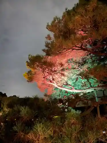 平安神宮のお祭り