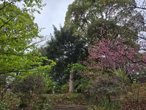 曽我浅間神社(静岡県)