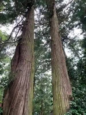 向田神社の自然