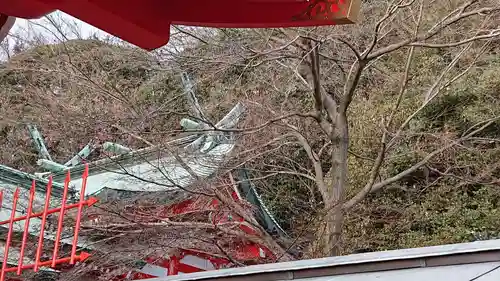 足利織姫神社の本殿・本堂