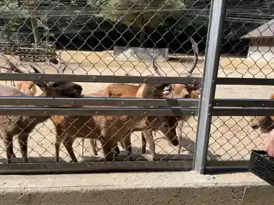 鹿島神宮(茨城県)