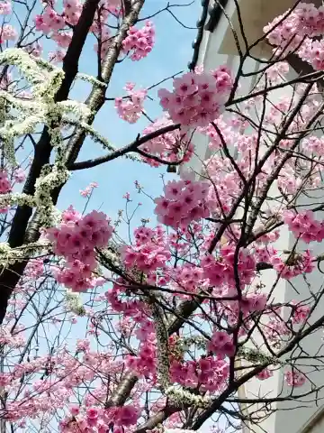 豊中不動寺(豊中不動尊)(大阪府)