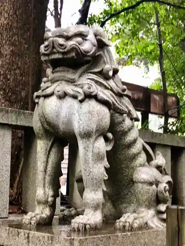 渋谷氷川神社の狛犬