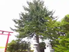 平里神社(北海道)