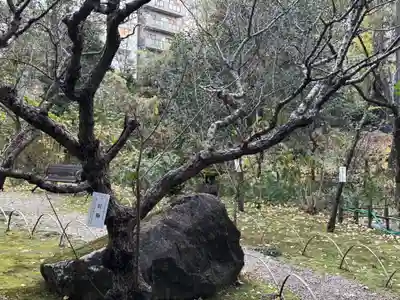 靖國神社(東京都)