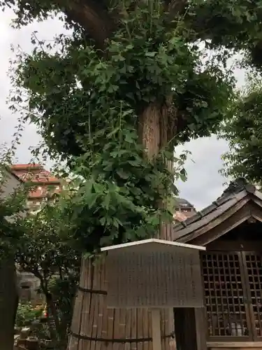 福王山  慈眼寺の歴史