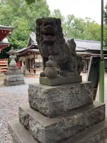 南沢氷川神社の狛犬