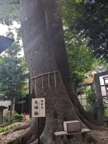 鳩ヶ谷氷川神社(埼玉県)