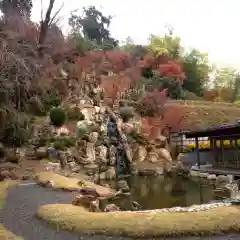 龍雲寺の庭園