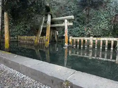 鹿島神宮の{uncategorized: "未分類", other: "その他", undefined: "問題あり", building: "その他建物", grave: "お墓", sacred_gate: "鳥居", guardian: "狛犬", statue: "像", buddha: "仏像", history: "歴史", nature: "自然", garden: "庭園", animal: "動物", pagoda: "塔", temizu: "手水舎", mountain_gate: "山門・神門", sanctuary: "本殿・本堂", subordinate: "末社・摂社", art: "芸術", scenery: "景色", jizo: "地蔵", ema: "絵馬", goshuin: "御朱印", omikuji: "おみくじ", items: "授与品その他", amulet: "お守り", goshuincho: "御朱印帳", eats: "食事", festival: "お祭り", votive_dance: "神楽", shichigosan: "七五三参", wedding: "結婚式", experience: "体験その他", initially: "初詣", around: "周辺", anti_infection: "感染症対策"}