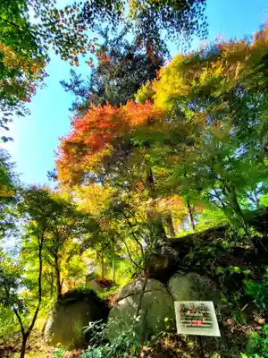 石都々古和気神社(福島県)