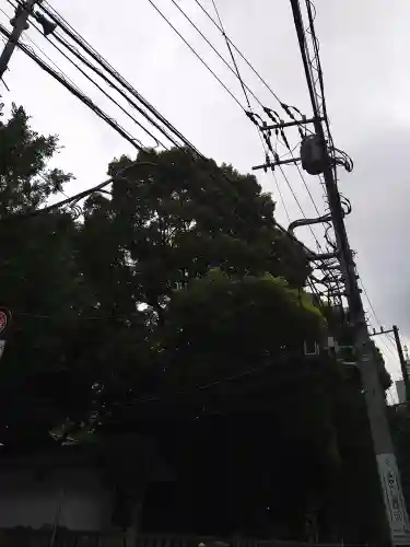 金王八幡宮(東京都)