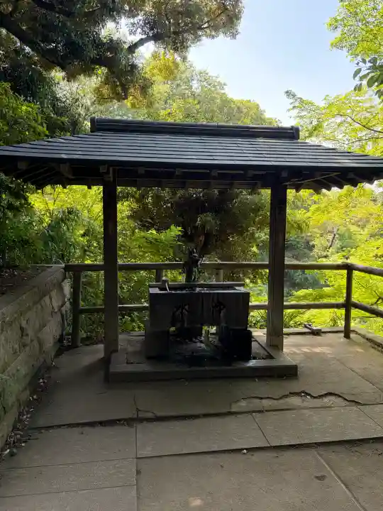 明王院(満願寺別院)の{uncategorized: "未分類", other: "その他", undefined: "問題あり", building: "その他建物", grave: "お墓", sacred_gate: "鳥居", guardian: "狛犬", statue: "像", buddha: "仏像", history: "歴史", nature: "自然", garden: "庭園", animal: "動物", pagoda: "塔", temizu: "手水舎", mountain_gate: "山門・神門", sanctuary: "本殿・本堂", subordinate: "末社・摂社", art: "芸術", scenery: "景色", jizo: "地蔵", ema: "絵馬", goshuin: "御朱印", omikuji: "おみくじ", items: "授与品その他", amulet: "お守り", goshuincho: "御朱印帳", eats: "食事", festival: "お祭り", votive_dance: "神楽", shichigosan: "七五三参", wedding: "結婚式", experience: "体験その他", initially: "初詣", around: "周辺", anti_infection: "感染症対策"}