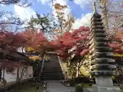 西教寺の塔