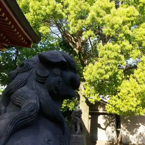 香取神社の狛犬