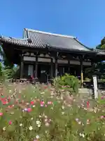 般若寺 ❁コスモス寺❁の本殿・本堂