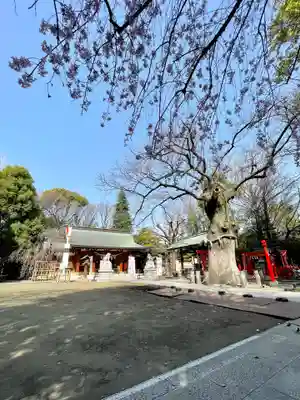 新田神社(東京都)