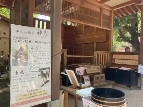 平塚八幡宮(神奈川県)