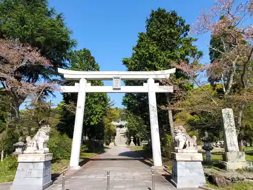 厄除八幡宮　の鳥居