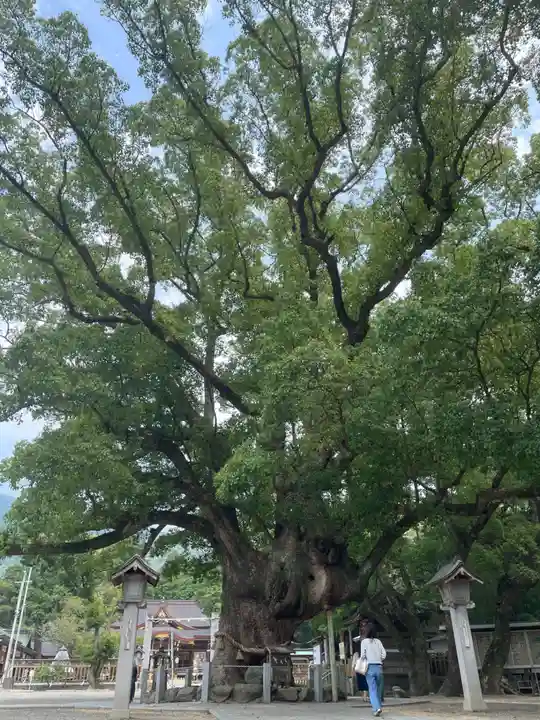大麻比古神社(徳島県)