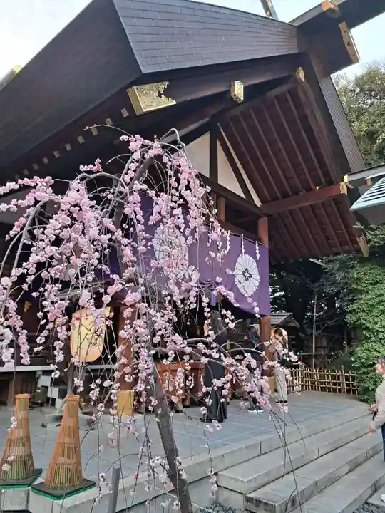 東京大神宮(東京都)