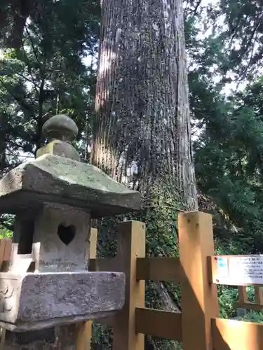 須山浅間神社のその他建物