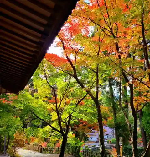 秋葉總本殿可睡斎(静岡県)