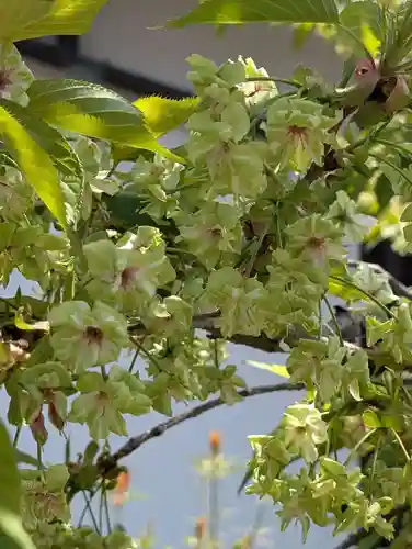 本覺寺(神奈川県)