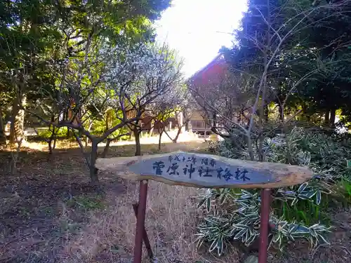 菅原神社の庭園