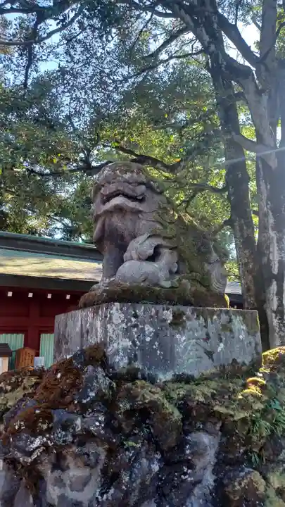 大國魂神社(東京都)