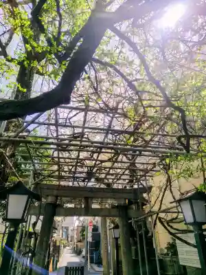 千住本氷川神社の{uncategorized: "未分類", other: "その他", undefined: "問題あり", building: "その他建物", grave: "お墓", sacred_gate: "鳥居", guardian: "狛犬", statue: "像", buddha: "仏像", history: "歴史", nature: "自然", garden: "庭園", animal: "動物", pagoda: "塔", temizu: "手水舎", mountain_gate: "山門・神門", sanctuary: "本殿・本堂", subordinate: "末社・摂社", art: "芸術", scenery: "景色", jizo: "地蔵", ema: "絵馬", goshuin: "御朱印", omikuji: "おみくじ", items: "授与品その他", amulet: "お守り", goshuincho: "御朱印帳", eats: "食事", festival: "お祭り", votive_dance: "神楽", shichigosan: "七五三参", wedding: "結婚式", experience: "体験その他", initially: "初詣", around: "周辺", anti_infection: "感染症対策"}