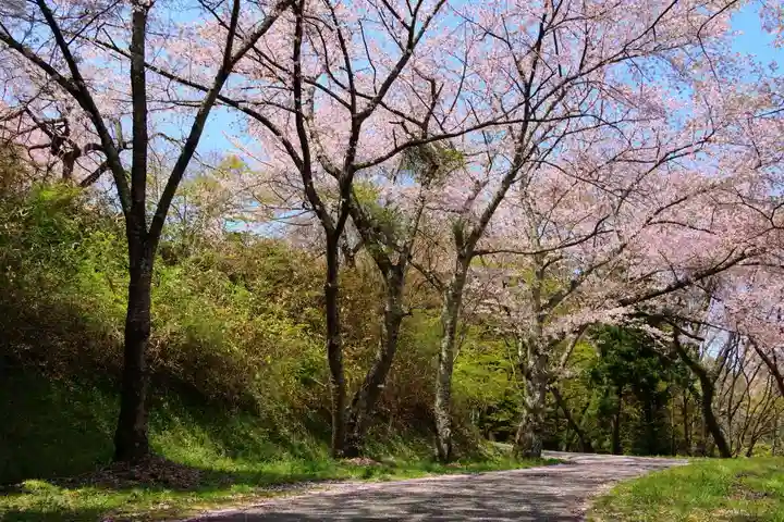 三春大神宮の景色