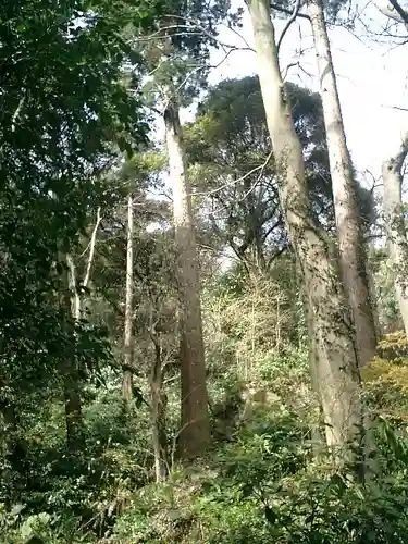 佐助稲荷神社の自然