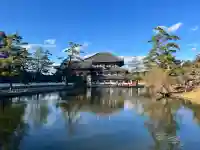 東大寺(奈良県)