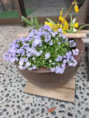 新琴似神社の庭園