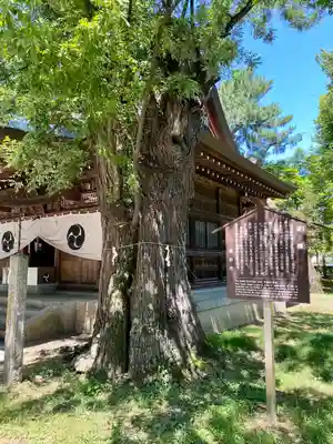 川中島古戦場八幡社(長野県)