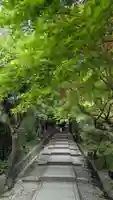 高台寺(高台寿聖禅寺・高臺寺)(京都府)