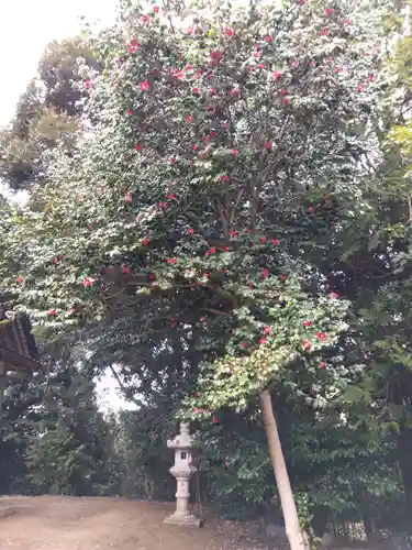 大国主命社(石川県)