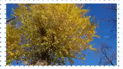 塚越稲荷神社(埼玉県)